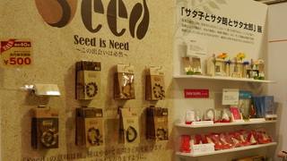 fes11.jpg